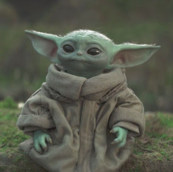 Meet your Posher, Grace - Picture 1 of 1